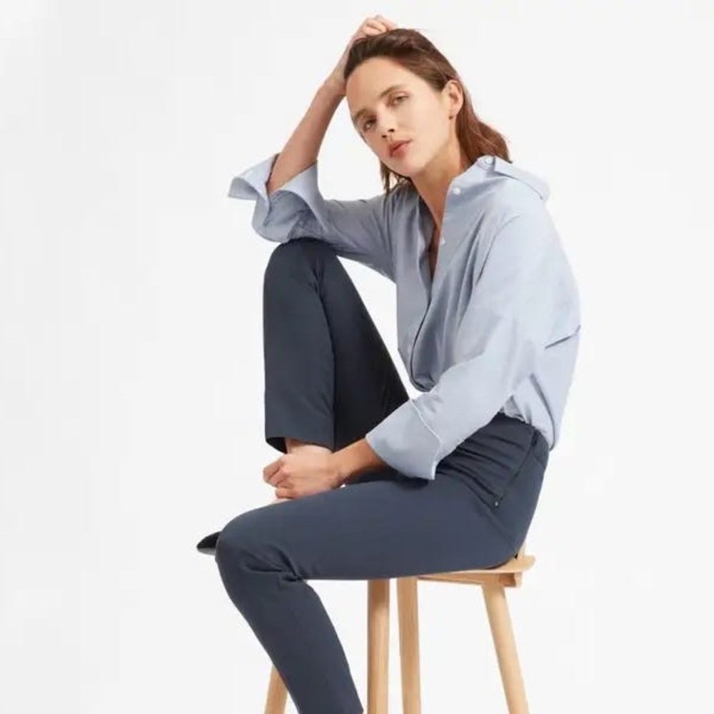 Everlane The Side Zip Work Pant - Blue